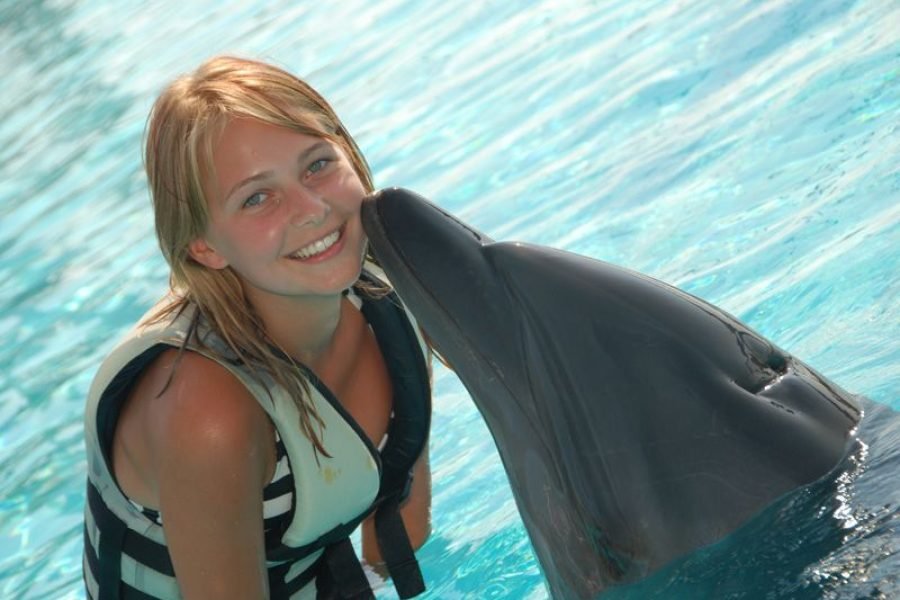 Delfin- und Seelöwenshow